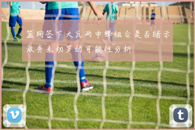 篮网签下大瓦两中锋组合是否暗示放弃米切罗的可能性分析
